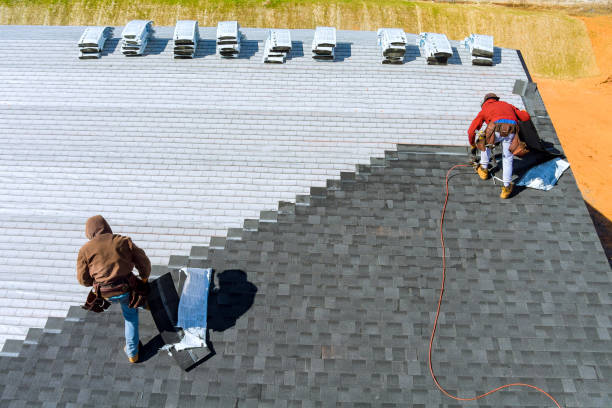 Best Gutter Installation and Repair  in Point Mackenzie, AK