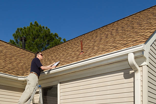 Best Skylight Installation and Repair  in Point Mackenzie, AK