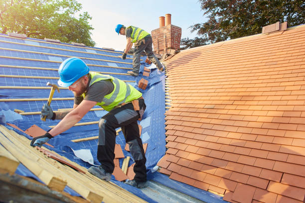 Best Solar Panel Roofing Installation  in Point Mackenzie, AK