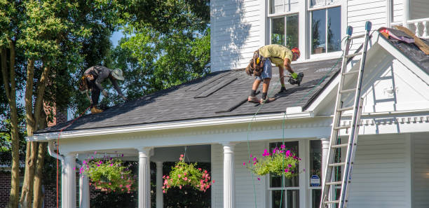 Best Tile Roofing Installation  in Point Mackenzie, AK